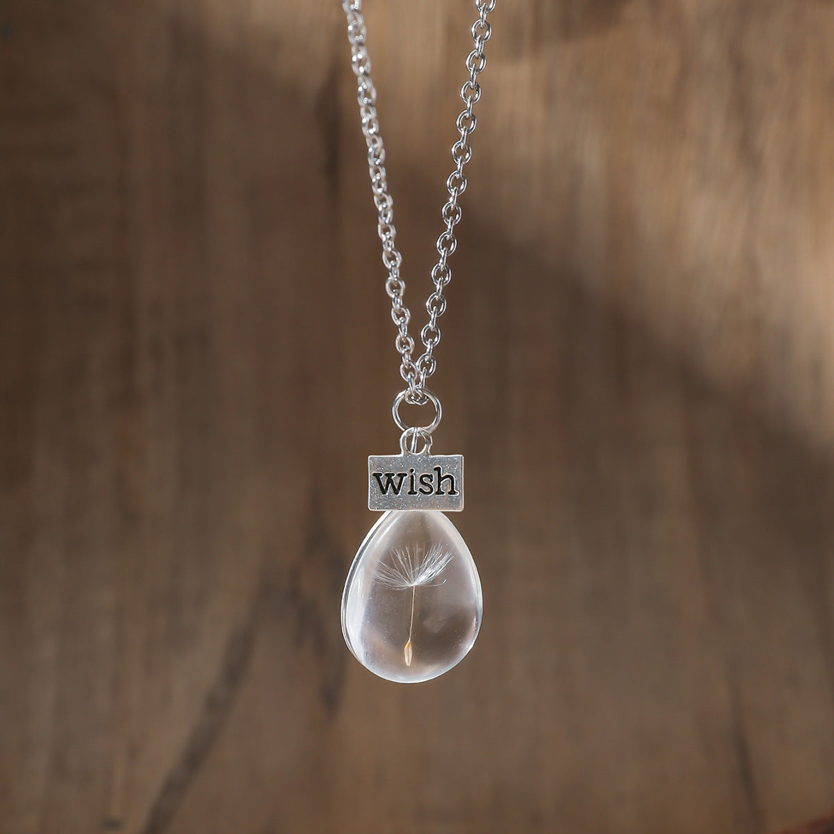 Simple Artistic Conception Epoxy Dandelion Dried Flower Pendant Earrings