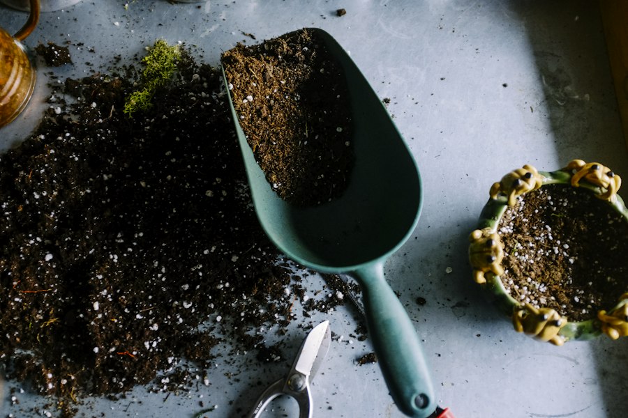 Bring a little greenery indoors