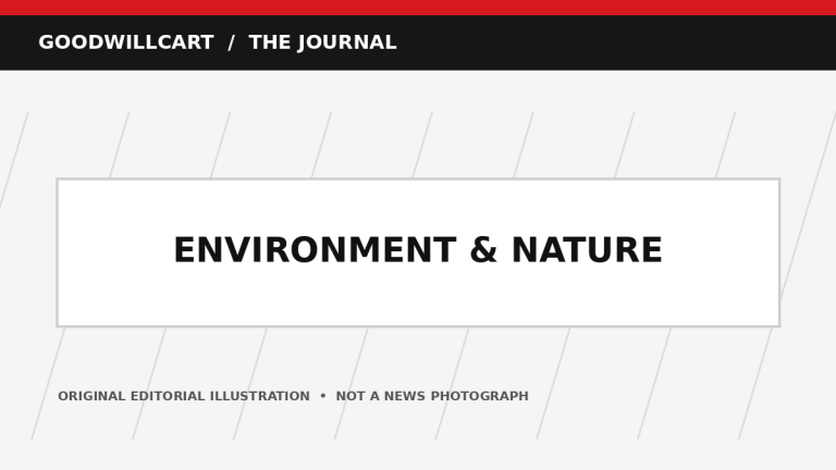 Illustration for Climate and Everyday Choices: Understanding the Bigger Picture