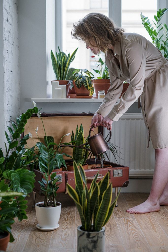 Woman watering houseplants by a bright window